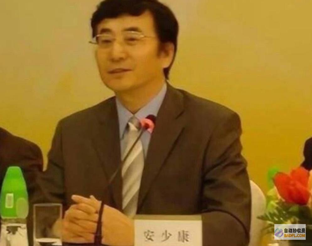一举一动超像父亲安少康刘亦菲现身央视座谈会下