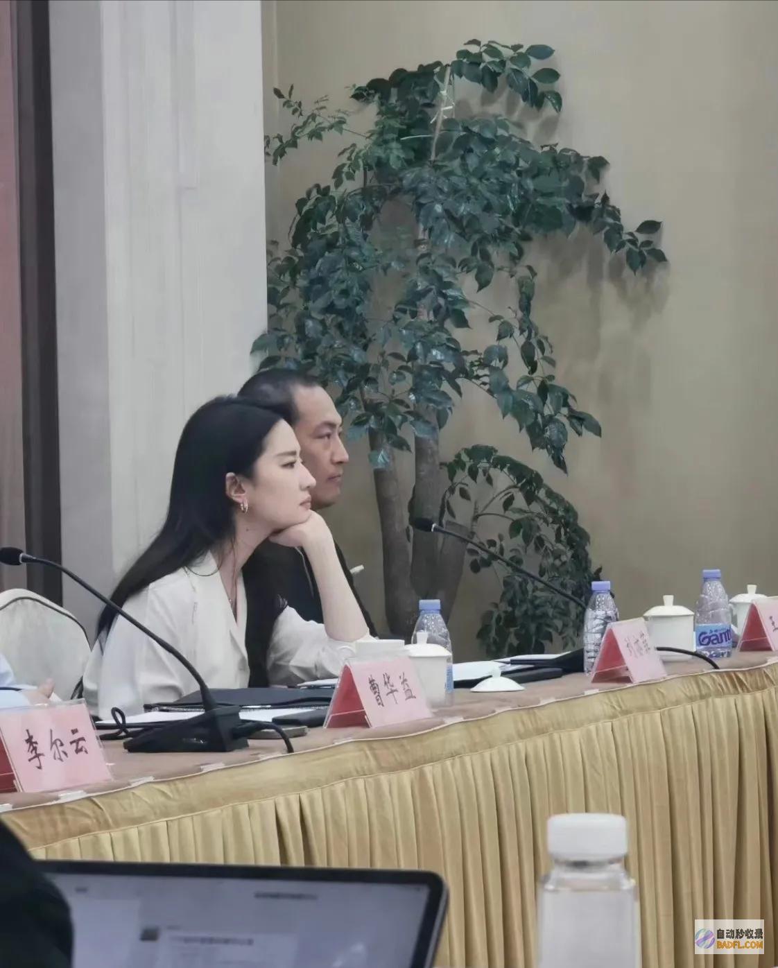 一举一动超像父亲安少康刘亦菲现身央视座谈会下