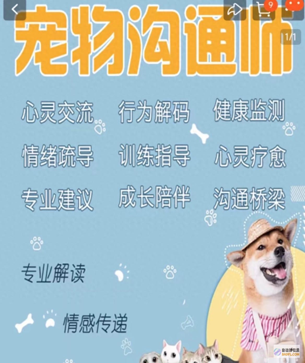 宠物沟通师 有人用AI编答案 乱象 不要钱几十至上千元 (宠物沟通软件有用吗)