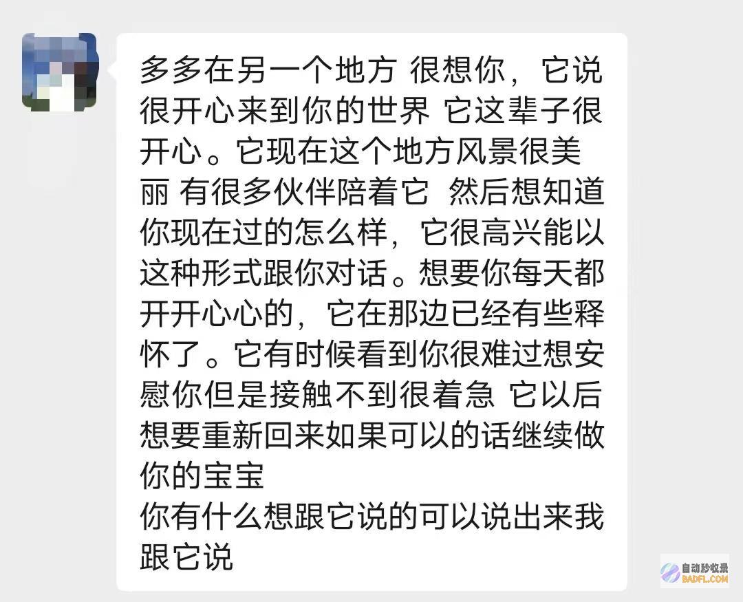 宠物沟通师有人用AI编答案乱象不要钱几十至上千