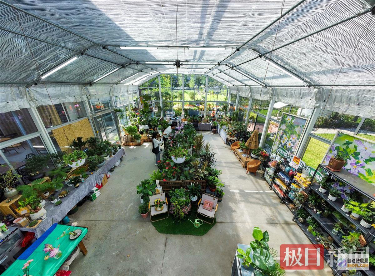 废除加油站市区中的绿野仙踪炎炎夏日快来青山绿