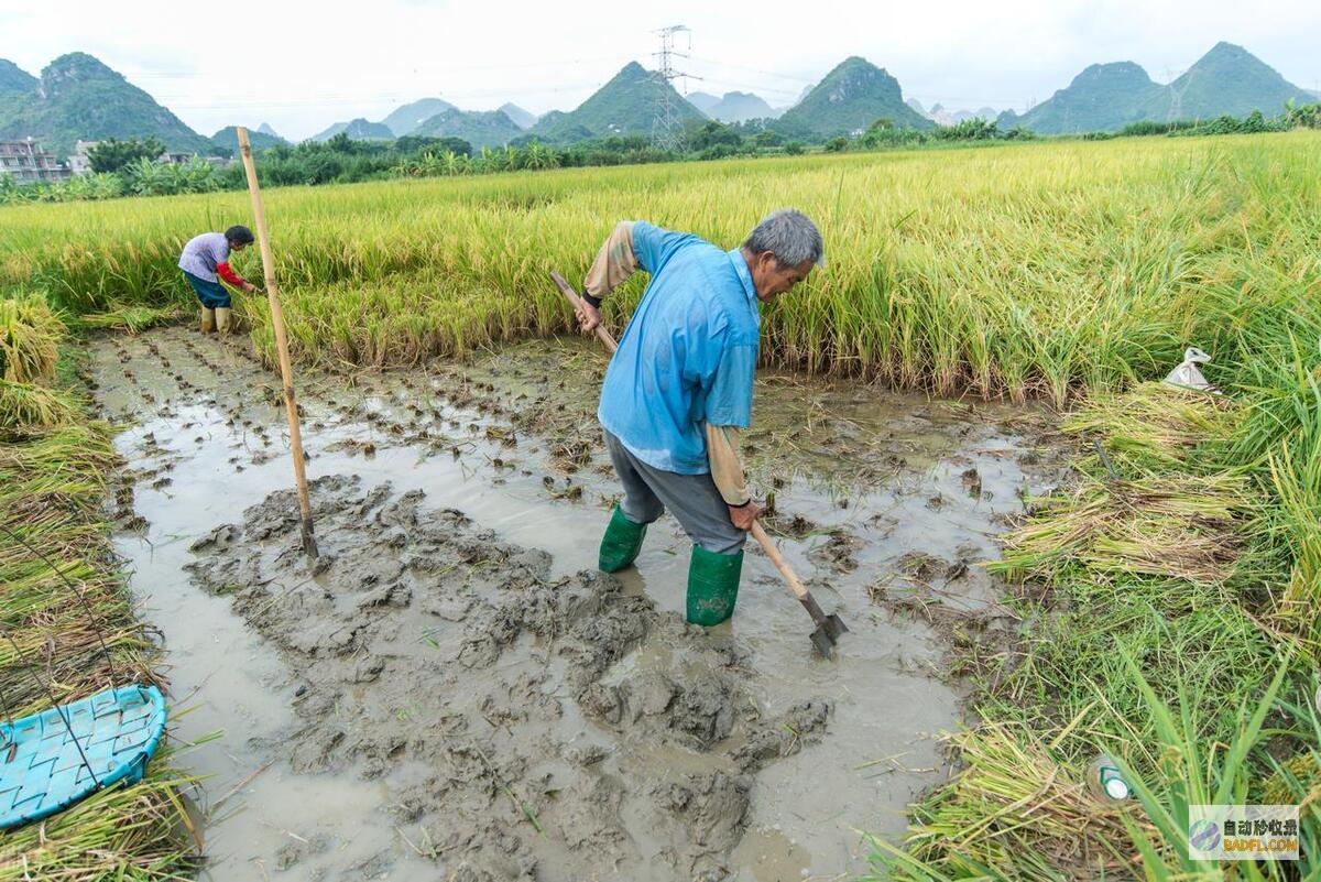强降雨已定副热带低压东移明天暴雨高温散布