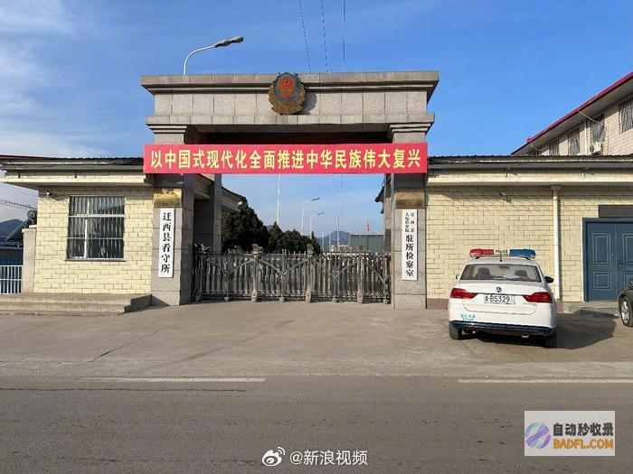 纪委参加 被殴村民重伤二级 闹大了！两男一女开马宝偷豆角后续 (殴打纪检干部)