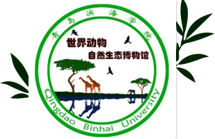 博物馆