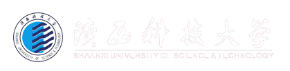 陕西科技大学电子信息与人工智能学院