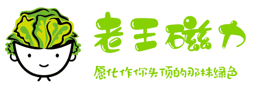 老王磁力 - 专业的磁力,磁力链接搜索引擎