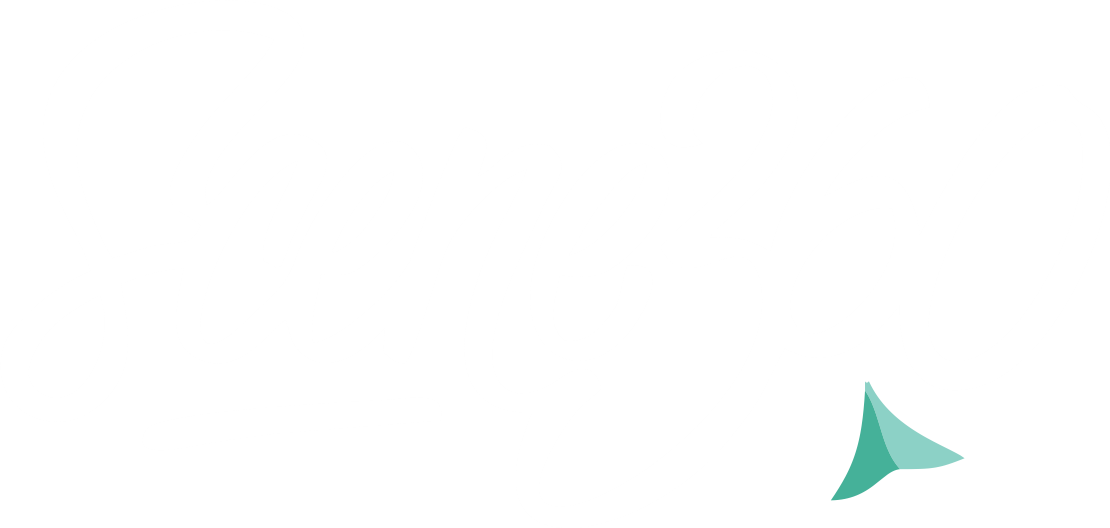 Scene360