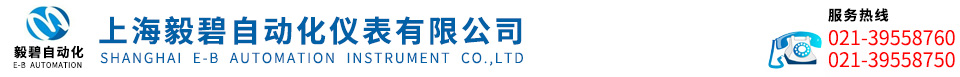 WRN装配式热电偶-铜/铝水(液)测温热电偶-S型WRP铂铑热电偶-上海毅碧自动化仪表有限公司