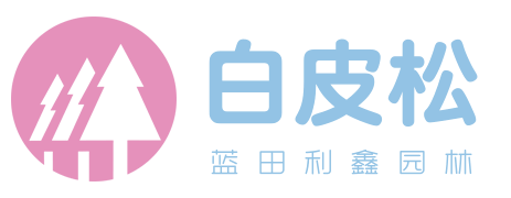 白皮松_陕西白皮松产地直销报价_蓝田利鑫白皮松园林
