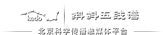 蝌蚪五线谱