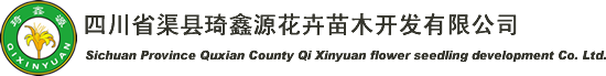四川渠县琦鑫源花卉苗木开发有限公司-渠县黄花，黄花菜，渠县琦鑫源黄花，黄花菜苗,香椿芽