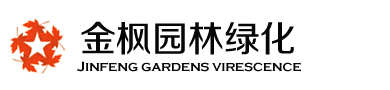 泰安金枫园林绿化有限公司_丛生红点红枫_火焰南天竹_美国红枫_火焰卫矛