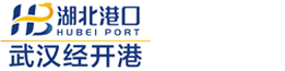 武汉经开港口有限公司
