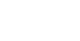 知巢鸟