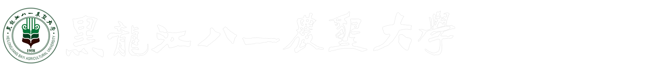 招生信息网