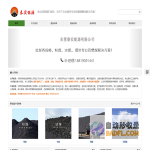 块煤_烟煤_无烟煤_煤炭批发_印尼煤价格_多少钱一吨 - 东莞泰实能源