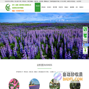 草花_宿根花卉草花批发基地市场_「价格实惠」_成都参天园林