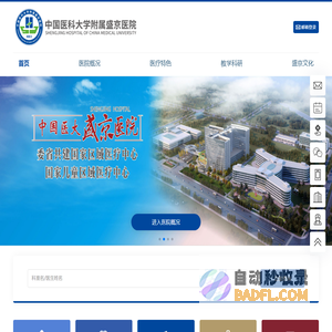中国医科大学附属盛京医院