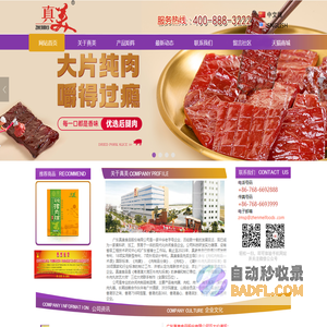 广东真美食品股份有限公司_食品