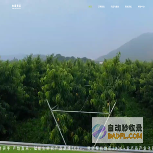 本来生活-中国生鲜食品标志性品牌