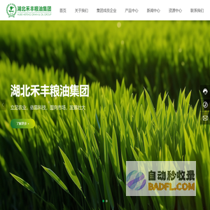 湖北禾丰粮油集团-粮食种植-仓储物流-大米加工全产业链