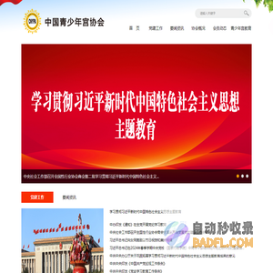 中国青少年宫协会