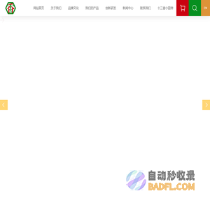 网站首页