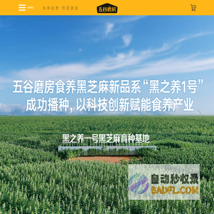五谷磨房-深圳市香雅食品有限公司