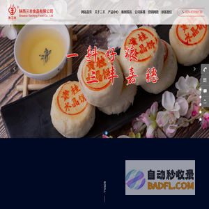 陕西三丰食品有限公司-食品企业-中西糕点