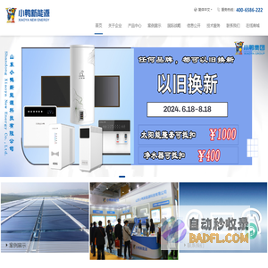 山东小鸭新能源科技有限公司