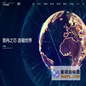 普冉半导体(上海)股份有限公司