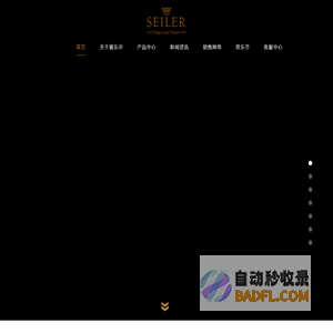 赛乐尔钢琴官网-赛乐尔三益乐器（上海）有限公司