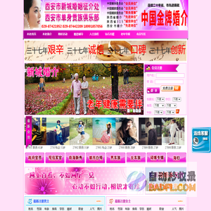新城婚介
