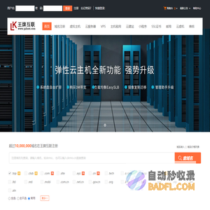 王牌互联-专业虚拟主机域名注册服务商!稳定、安全、高速的虚拟主机！域名注册虚拟主机租用