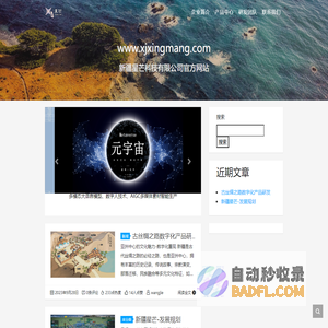 新疆星芒科技