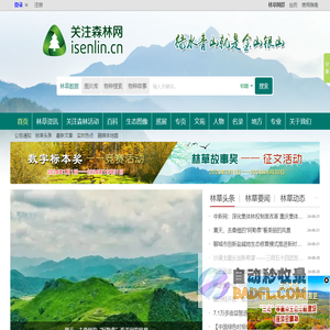 关注森林