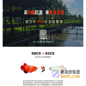 龙涯网