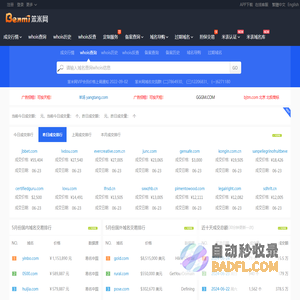 笨米网 - 域名服务平台 域名工具