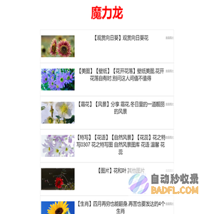 魔力龙 - 发现个人创作无限可能