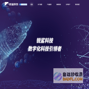 锐鲨