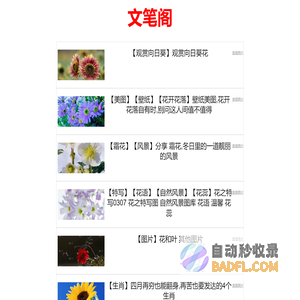 文笔阁 - 写作技巧与文学艺术的殿堂