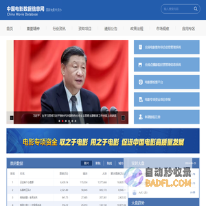 中国电影数据信息网