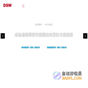 DSW弹簧_