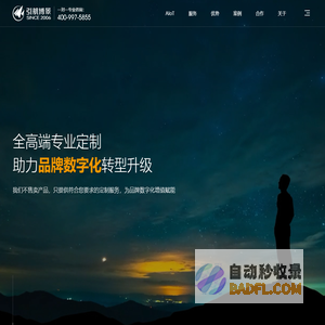 上海引航-高端网站建设-网站设计制作-专业网站定制公司