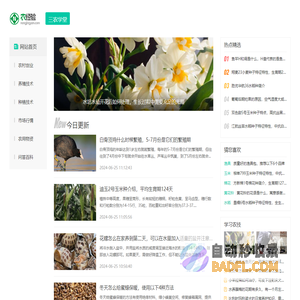 农经验 - 三农实用指南