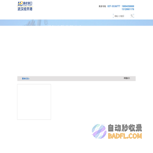 武汉经开港口有限公司