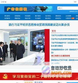 中国税网