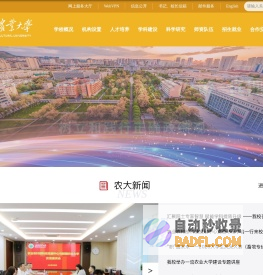 新疆农业大学