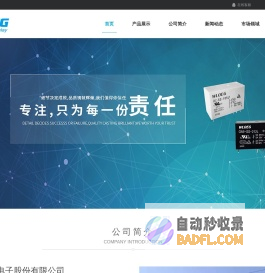 江西王利电子股份有限公司
