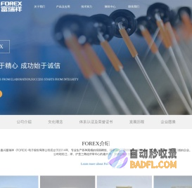 嘉兴富瑞祥电子股份有限公司_